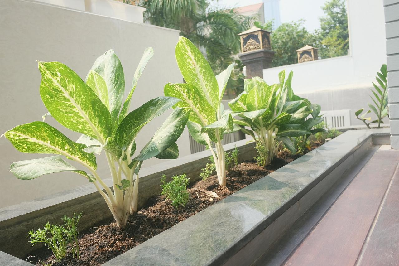 Greenwood Villa Saigon Ho Chi Minh-byen Eksteriør bilde