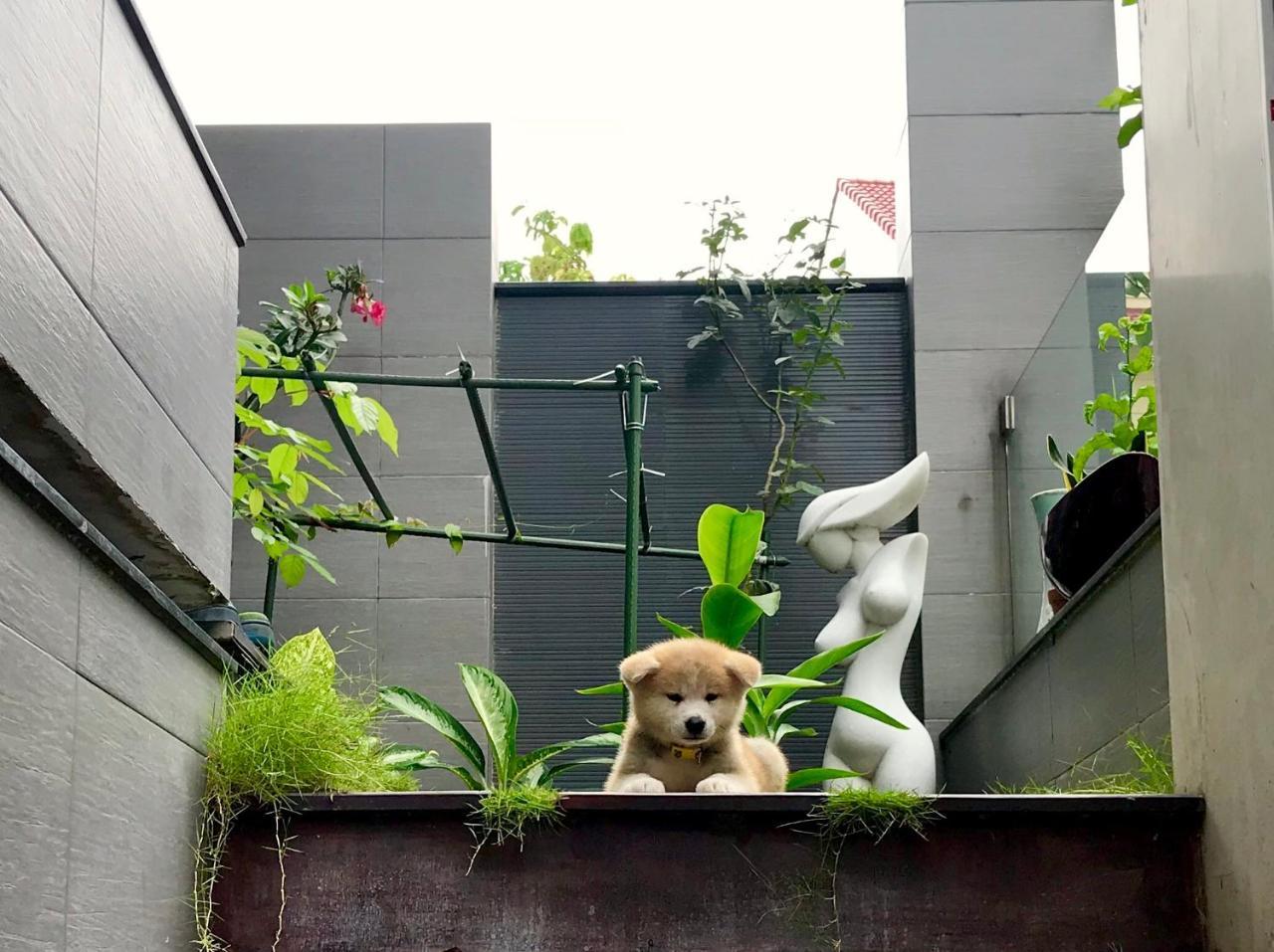 Greenwood Villa Saigon Ho Chi Minh-byen Eksteriør bilde